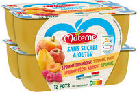 MATERNE (Sans sucres ajoutés) Pomme/Pomme Poire/Pomme Framboise/Pomme Pêche Abricot 12x100g - Produit - fr